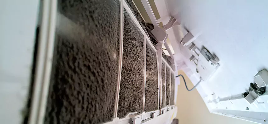 Preventive Air Duct Bacteria Removal in Rancho Santa Margarita