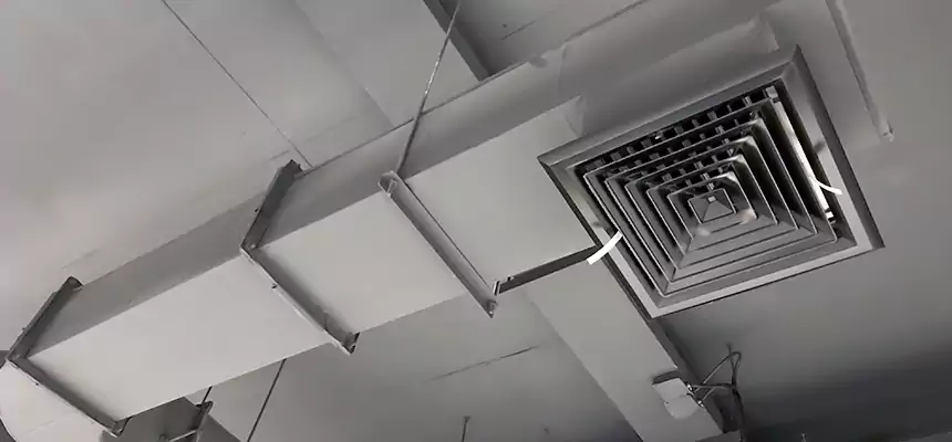 Our Pest Removal From Ducts Services in Rancho Santa Margarita, CA