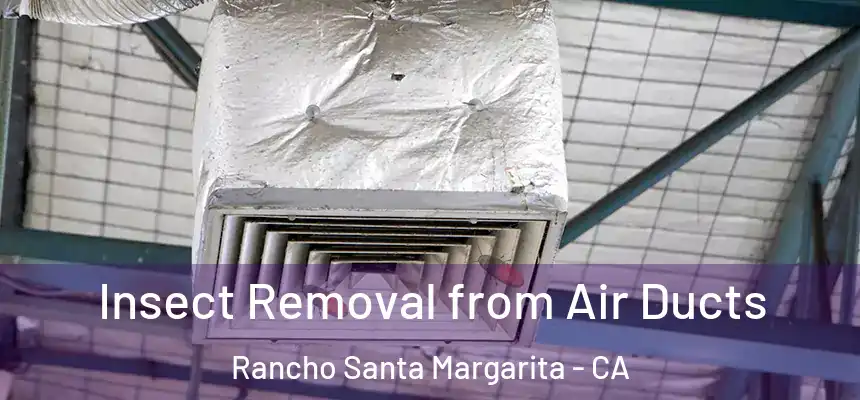  Insect Removal from Air Ducts Rancho Santa Margarita - CA