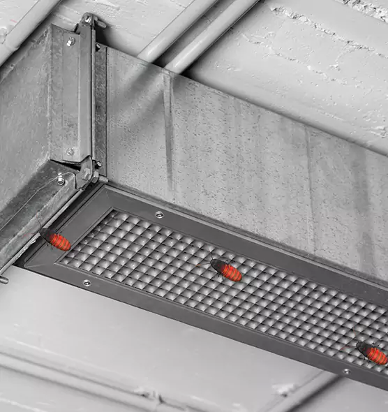 About Air Duct Cockroach Removal in Rancho Santa Margarita, CA