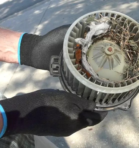 About Air Duct Mice Removal in Rancho Santa Margarita, CA