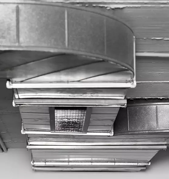 Professional Air Duct Pest Removal in Rancho Santa Margarita, CA