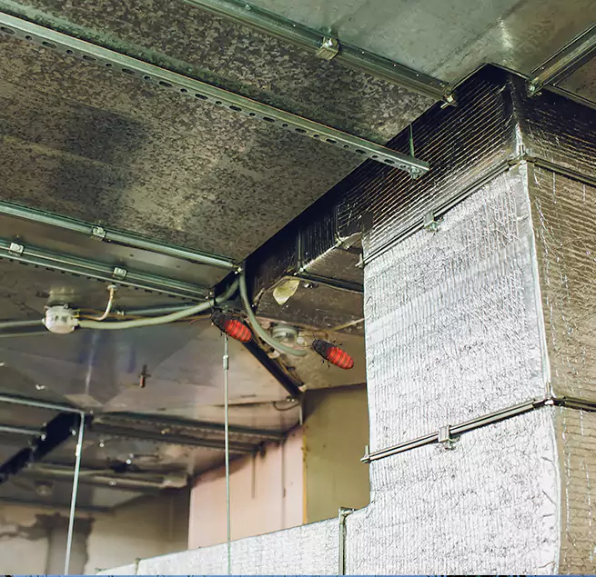 Why Homeowners & Businesses Trust Us in Rancho Santa Margarita, CA?