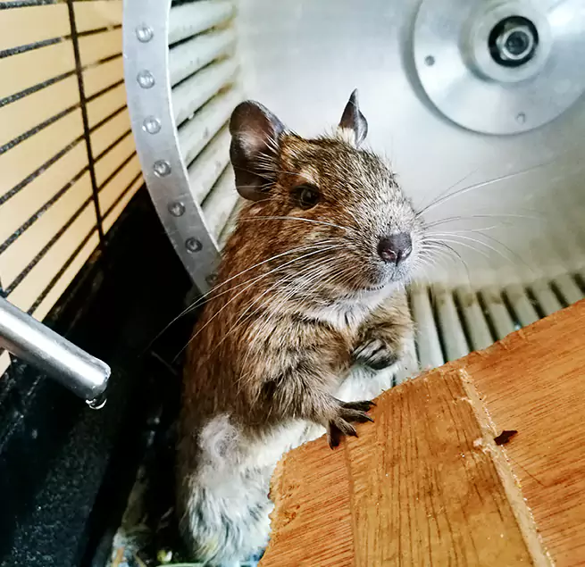 Why Homeowners & Businesses Trust Us Rancho Santa Margarita, CA