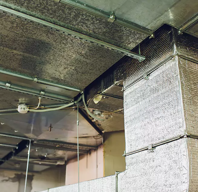 Why Homeowners & Businesses Trust Us in Rancho Santa Margarita, CA?